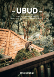 Ubud - praktyczny przewodnik
